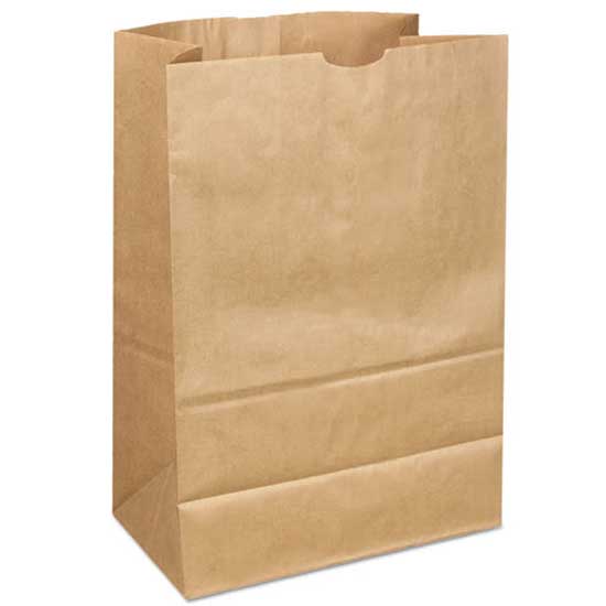 Bag Brown Kraft SO20 – Binneland Packaging